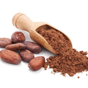 Groothandel Cacao Chocolade Poeder Voedsel Additief Unalkalized Cacao Poeder