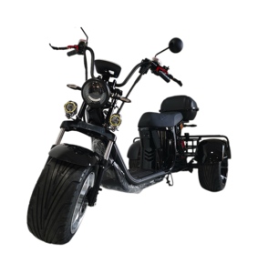 Nouveau produit : Trottinette électrique Citycoco à trois <span class=keywords><strong>roues</strong></span> avec pneus de 8 pouces, double batterie, coffre avancé, idéale pour le golf - Product Image 1