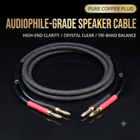 Câble de haut-parleur HiFi en cuivre sans oxygène, fil audio avec connecteur banane, blindage en nylon tressé, 10A, home cinéma