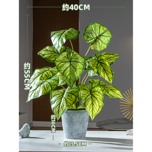Mini Plantas Artificiales en Maceta, Eucalipto, Caladium, Lavanda, Bonsái, Adorno Verde en Maceta para Decoración del Hogar, Escritorio, Oficina, Mesa - Product Image 5