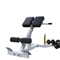 123 chaise romaine de taille réglable d'équipement commercial de forme physique de sports pour la formation de force
