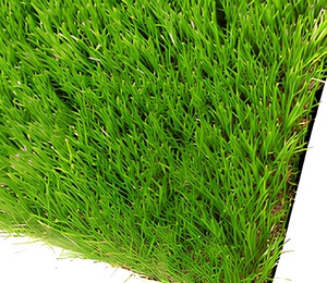 Césped Artificial para Cancha <span class=keywords><strong>de</strong></span> Fútbol <span class=keywords><strong>de</strong></span> 50 mm, Material PE, Realista, para Exteriores, <span class=keywords><strong>Campo</strong></span> <span class=keywords><strong>de</strong></span> Fútbol, Voetbalveld, Duración <span class=keywords><strong>de</strong></span> Más <span class=keywords><strong>de</strong></span> 5 Años - Product Image 4