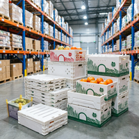 Caisse de transport en plastique ondulé jetable en PP écologique pour l'agriculture, pliable, pour légumes