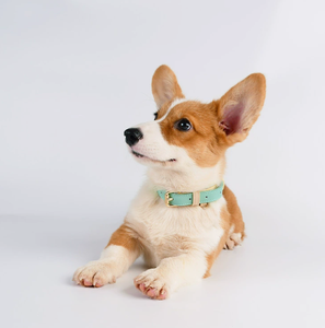 <b>Leather</b> <b>Dog</b> <b>Collar</b> Adjustable Buckle Pet Neck <b>Collar</b> Printed Pet Grooming Accessory for Small Medium Large <b>Dogs</b> - Product Image 6