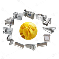 De semi Automatische Grote Capaciteit Bevroren Chips die van de Frietenmachine Machine maken Verse Chipsproductielijn