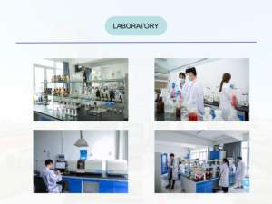 Top vrac parfum huile parfum pivoine <span class=keywords><strong>sauvage</strong></span> et <span class=keywords><strong>jasmin</strong></span> marque parfum bougie parfum pour avec échantillon gratuit expédition rapide - Product Image 6