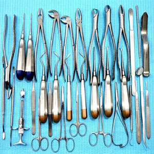 Juego de 74 Herramientas de Herrador Equino, Instrumentos Veterinarios de Acero Inoxidable, Elevadores, Pinzas, Reutilizables, Autoclavables, con Certificación CE - Product Image 1