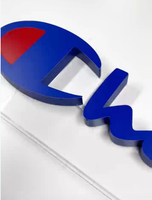 Caractères lumineux en néon en acrylique avec finition peinte en alliage d'aluminium usiné CNC, service personnalisé, modèle de marque AB Yakeli-01