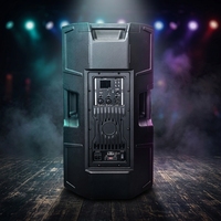 Haut-parleur de scène actif en plastique de 15 pouces avec amplification DSP bi-amplifiée, 500 W RMS, 2000 W de puissance maximale, Bluetooth TWS, 131 dB SPL maximal, entrée/sortie XLR