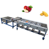 Machine de tri Offre Spéciale de jujube de noix de coco Trieuse automatique de noix de coco Machine de classement de fruits de pomme