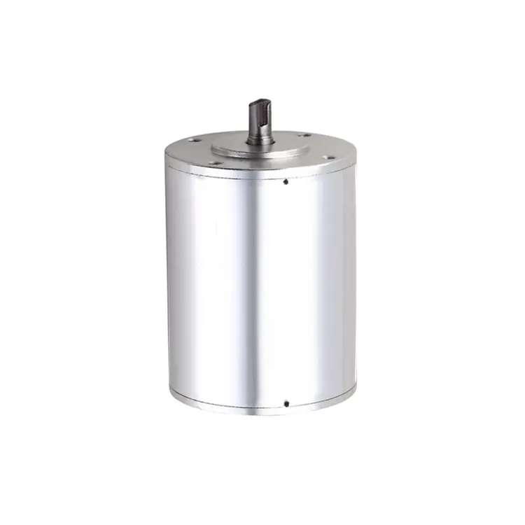 12V 24V 36V Aangepaste Borstelloze Dc Motor Dc Borstelloze Motor Bldc Motor Voor Auto