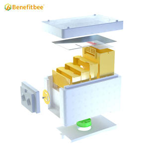 Nuova Mini Arnia di Fecondazione <span class=keywords><strong>per</strong></span> Allevamento di Api Regine Attrezzatura <span class=keywords><strong>per</strong></span> Apicoltura - Product Image 3