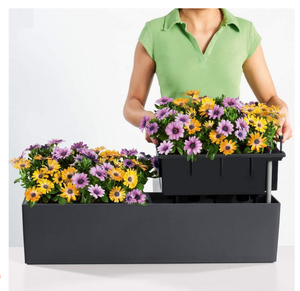 Maceta Cuadrada Grande con Sistema de Riego Automático para Plantas Bonsái, Ideal para Balcón y Hogar - Product Image 6