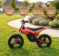 Moto électrique tout-terrain pour enfants DM-900 950W, 36V 7.8Ah, vitesse maximale 35 km/h, autonomie 30 km