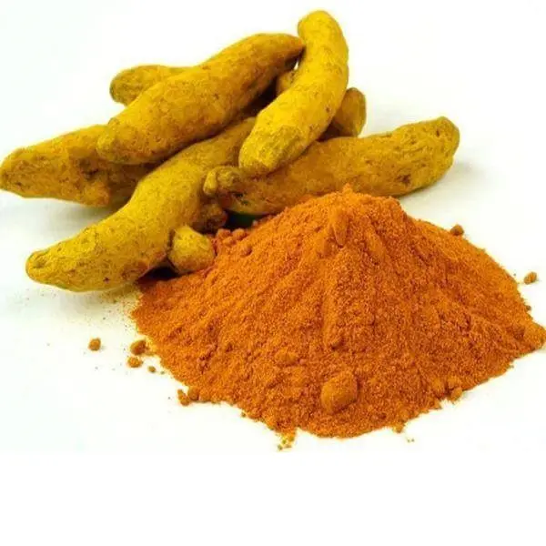 Curcuma longa radice estratto 95% Curcuma Curcuma in polvere integratore CAS 458-37-7 prezzo all'ingrosso