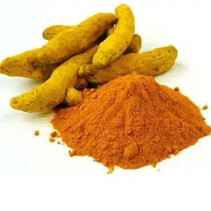 Curcuma Longa Wurzel extrakt 95% Curcumin Kurkuma Pulver Ergänzung CAS 458-37-7 Bulk-Preis