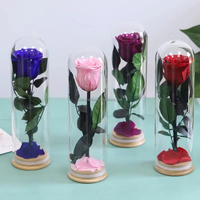 Rose éternelle préservée sous cloche en verre avec tige – Fleurs naturelles pour la Saint-Valentin et les remises de diplômes