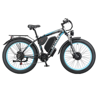 Vélo de montagne électrique avec moteur à moyeu arrière, cadre en acier, moteur sans balais 48V 250W, batterie au lithium, freins à disque hydrauliques