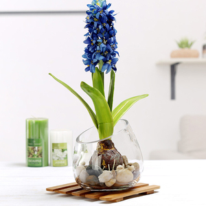 Vase <span class=keywords><strong>en</strong></span> <span class=keywords><strong>verre</strong></span> oblique populaire <span class=keywords><strong>en</strong></span> gros, <span class=keywords><strong>pot</strong></span> <span class=keywords><strong>en</strong></span> <span class=keywords><strong>verre</strong></span> oblique pour plantes aquatiques et mini-fleurs avec décoration de petites pierres - Product Image 3