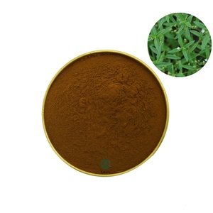 <span class=keywords><strong>Hedyotis</strong></span> Diffusa抽出物植物Oldenlandia Diffusa抽出物天然Oldenlandia抽出物 - Product Image 1