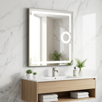 Hot Sale Factory Wholesale Wall Mounted Hotel LED Magnifying Bathroom Mirror