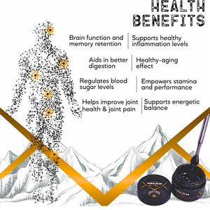 BIOCCHN - Resina de Shilajit de Marca Privada, Resina de Shilajit Líquida Pura del Himalaya, Suplemento Alimenticio Orgánico, Minerales, Ácido Fúlvico - Product Image 3