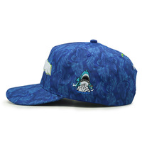 Gorra de béisbol personalizada con logotipo bordado, Logo personalizado, impresión por sublimación, 6 paneles