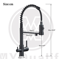 Robinet de cuisine monocommande noir filtré eau chaude et froide avec 3 trous, mélangeur d'eau pure et purifiée pour eau potable