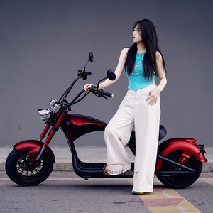 25 KM/H sur COC Citycoco Moto Électrique Gros Pneu Scooter Top Vente Citycoco Scooters Électriques Terrain de Golf pour Adultes - Product Image 1