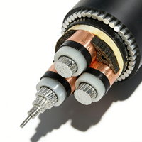 Cable de Alimentación Blindado YJLV32 con Aislamiento XLPE y Armadura SWA, 0.6/1kV, Anti-interferencia, para Transmisión Subterránea en Construcción