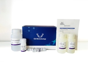 Kit <span class=keywords><strong>ADN</strong></span> végétal Magbead EP024-96T pour la recherche - Product Image 1