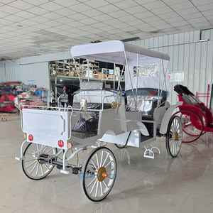 Popular Carroza Turística Clásica Blanca de Lujo Personalizada de Alta Gama con 4-8 Asientos / Carroza Eléctrica Turística Europea - Product Image 4