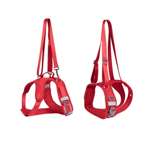 ペット猫犬リフトアシストリハビリテーションウォーキングハーネスポリエステル補助リハビリテーションストラップセット - Product Image 4