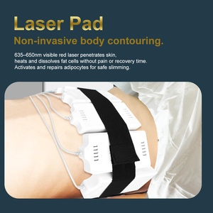 <span class=keywords><strong>Prix</strong></span> Usine Nouvelle Machine de Cavitation 12-en-1 80K avec RF et Lipopads Sous Vide pour la Perte de Poids, le Remodelage Corporel et le Raffermissement de la Peau - Product Image 5