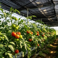 Zwarte HDPE zware kwaliteit UV-bestendige winddichte draagbare opvouwbare duurzame buitenlandbouw schaduwnet voor tomatenteelt rol