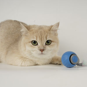 Giocattoli per gatti interattivi per interni giocattoli per gatti per interni che rotolano velocemente sul tappeto cinguettio e movimento - Product Image 4