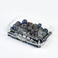 Boîtes d'emballage en plastique transparentes à charnière de 500g pour fruits (fraises, mûres, cerises) avec trou pour couvercle