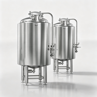 Cuve de Fermentation Commerciale 600L en SUS304 à Base Conique pour Kombucha