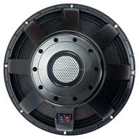 21150-019 Haut-parleurs de subwoofer portables de 21 pouces à néodyme, puissance élevée 3000W RMS, 40HZ-500HZ, pour performances en extérieur
