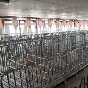 Diseño moderno cerdo jaulas de gestación prohibido equipos agrícolas - Product Image 6