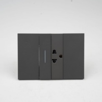 Interruptor de Pared Tipo 118 con Aspecto de Piedra de Lujo, Muestra Disponible, KLASS Resort Hotel Engineering Construction Bulk
