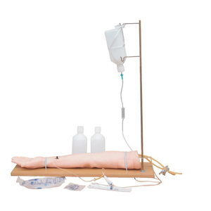 Modèle d'anatomie de l'œil humain amovible avec orbite, modèle d'œil anatomique en PVC pour l'enseignement en faculté de médecine - Product Image 4