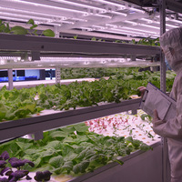 Costom – Machine de culture hydroponique verticale pour culture de légumes microverts, entièrement automatique