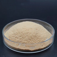 Extrait de levure Soluble dans l'eau Sodium Carboxymethyl Levure Bêta Glucane (Bêta 1,3/1,6 D Glucan) 90% Pour Qualité Cosmétique