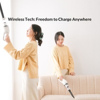 Appareil d'aspiration électrique portable pour animaux de compagnie, éliminateur de poils de chien et de chat, grande puissance d'aspiration, grattoir de nettoyage, produits de nettoyage