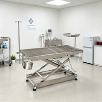 Table d'opération vétérinaire électrique en acier inoxydable avec élévateur à ciseaux pour hôpital vétérinaire