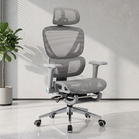 Fauteuil de bureau moderne de style nouveau avec support lombaire ergonomique réglable, repose-pieds en maille à motif poisson, accoudoirs et fonction pivotante