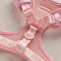 Fabricant de harnais pour chien sur mesure, harnais réglable pour le cou, harnais pour chien crème, soleil, arc-en-ciel, floral, ensemble de harnais pour chien avec bandes réfléchissantes