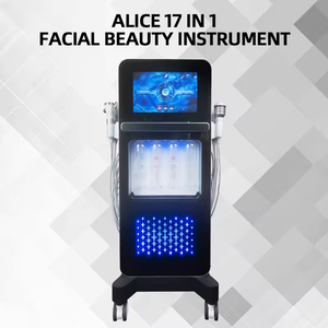 Máquina Facial Multifuncional 17 en 1 de Acero Inoxidable con LED de 2000W para Uso Doméstico y Hotelero - Product Image 3