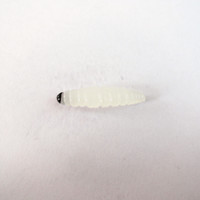 Leurre souple Bellance de haute qualité OEM/ODM, appât vers de farine, 27mm 0.45g, imprimé, directement de l'usine